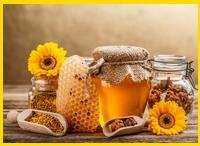 Antibiotic honey search begins - Hey Honey Beauty