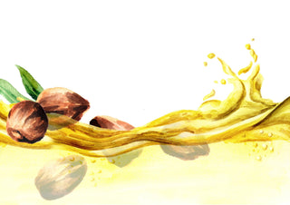 Jojoba Oil: What Is It and Why Should We Use It? - Hey Honey Beauty